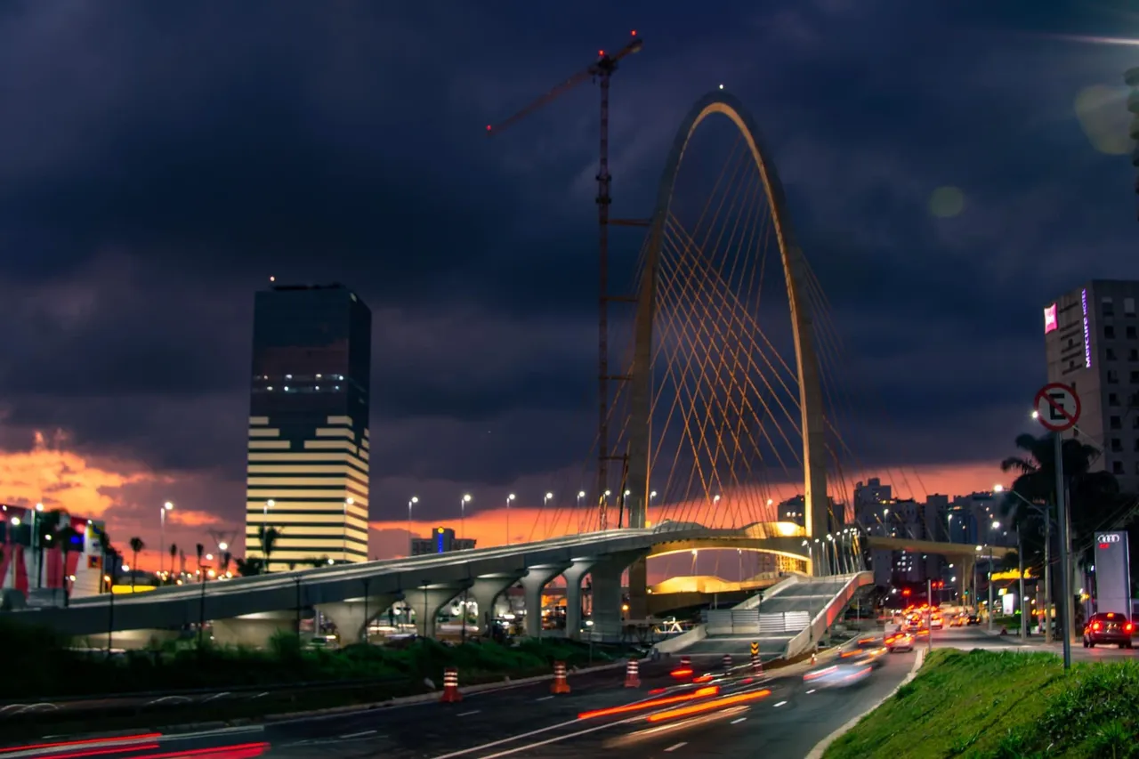 Curiosidades sobre Cachorro Branco