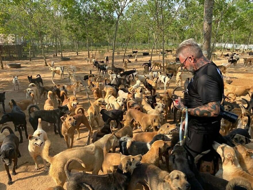 chef ajuda milhares de cachorros