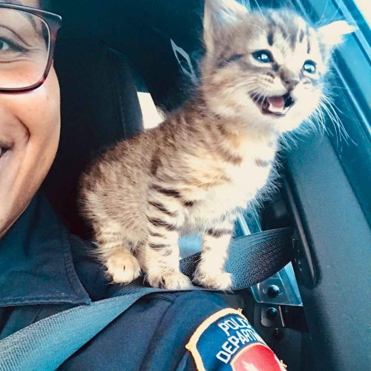 Policiais resgatam uma gatinha e a promovem a agente