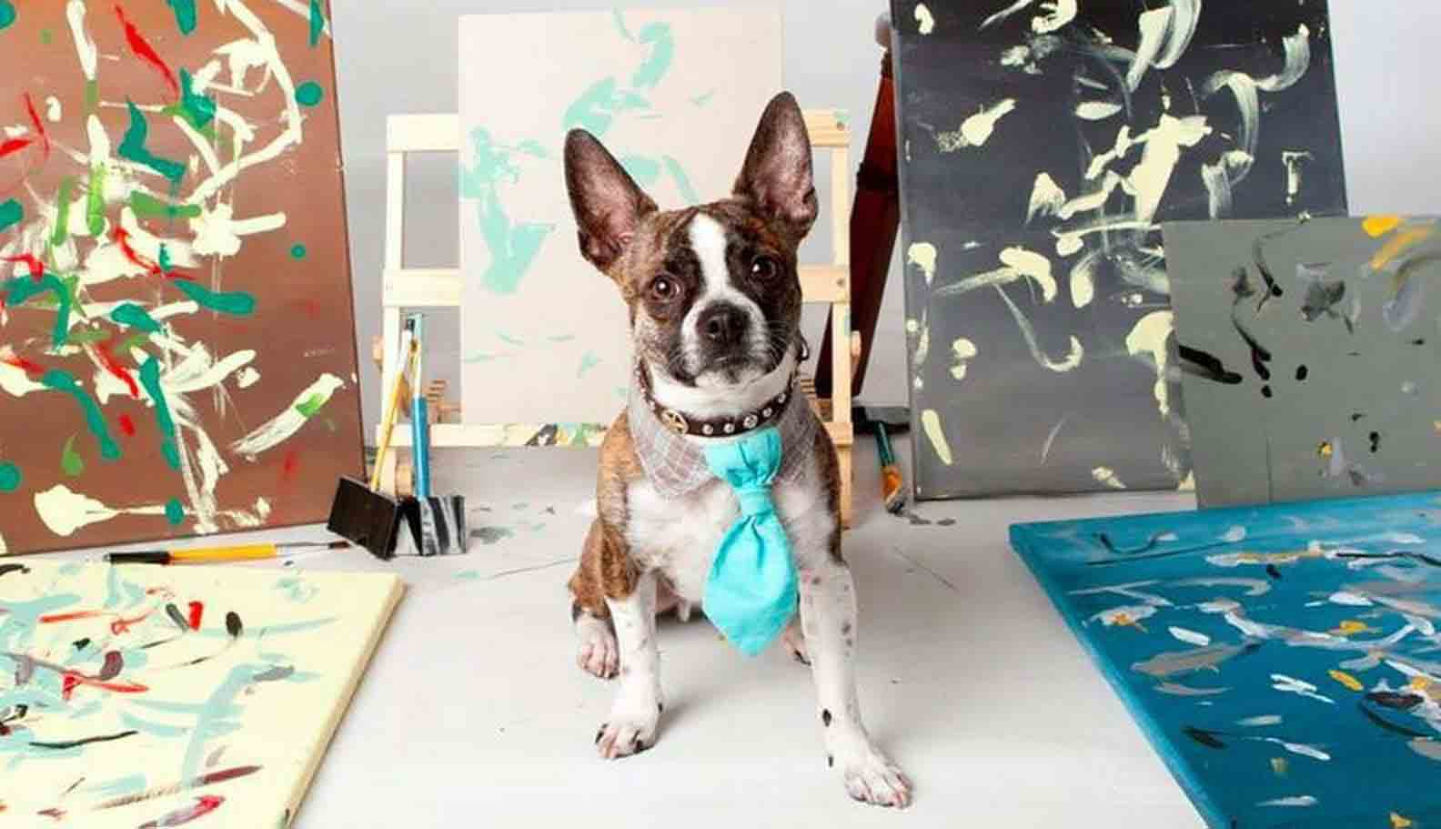 Cãozinho artista cria obras abstratas com seu próprio pincel