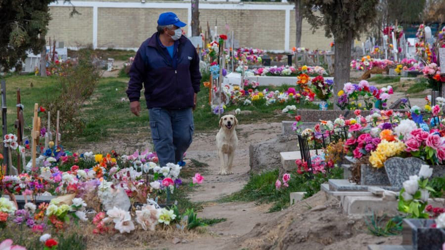 Cachorro perdeu o dono e agora consola pessoas em cemitério