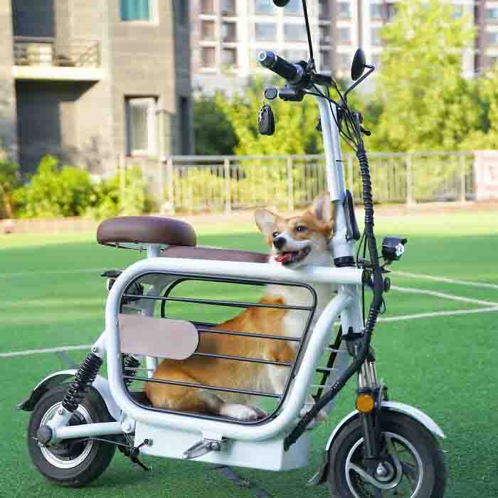 bike para cachorro 6