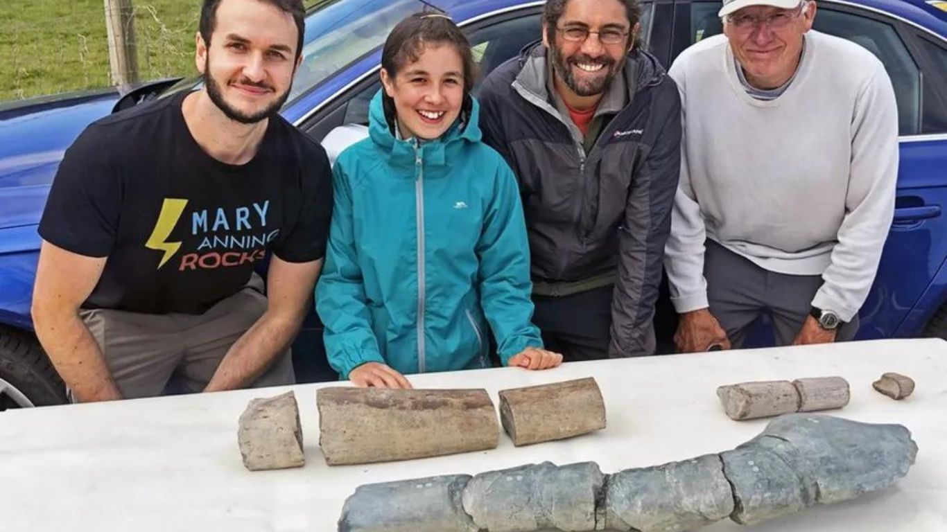 Enorme réptil marinho antigo é identificado a partir de descoberta amadora
