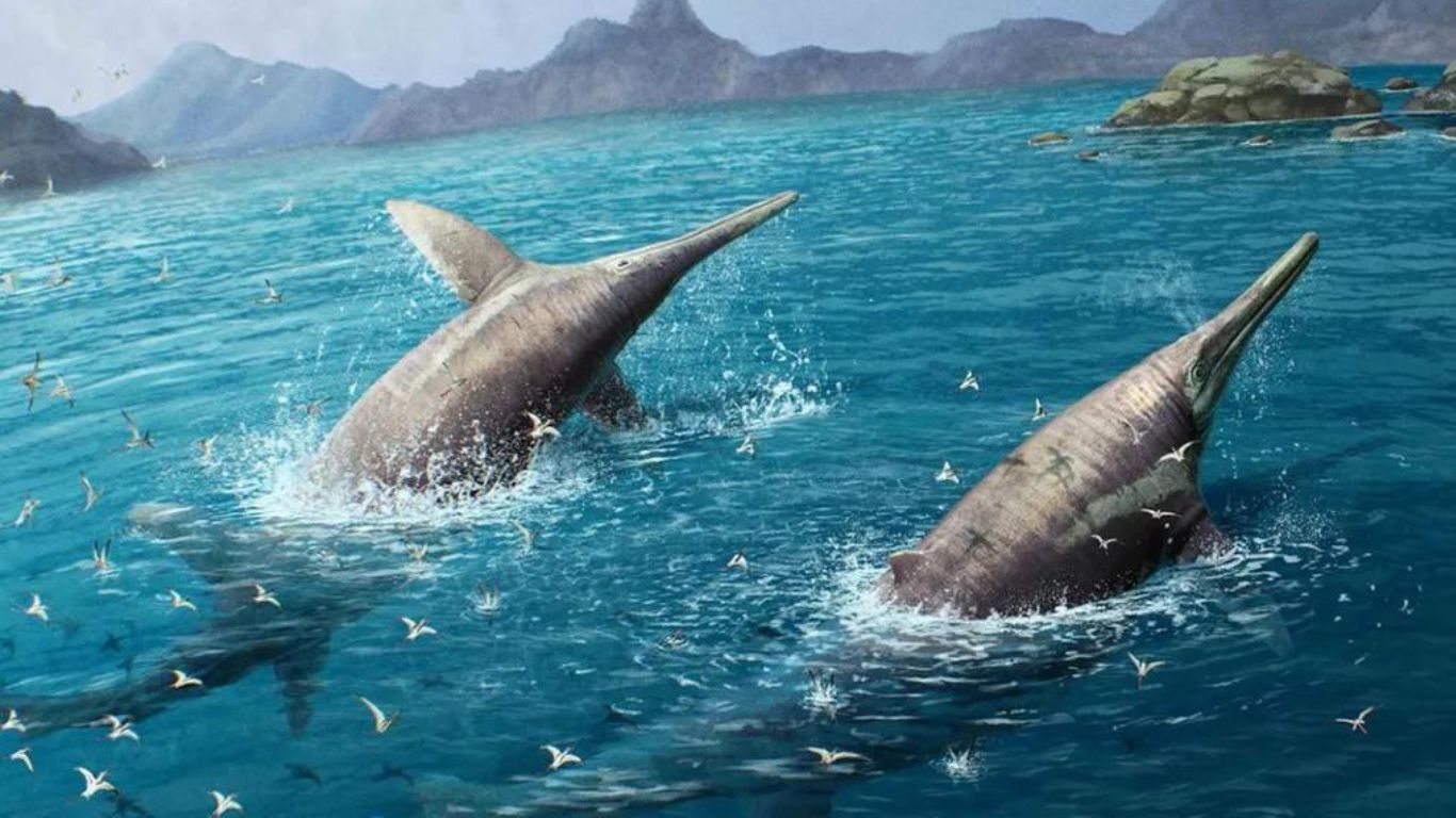 Enorme réptil marinho antigo é identificado a partir de fósseis